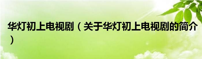 華燈初上電視?。P(guān)于華燈初上電視劇的簡(jiǎn)介）