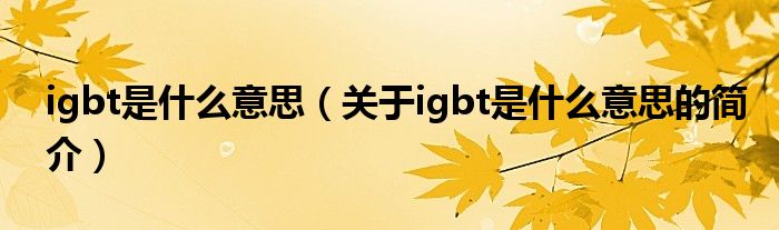 igbt是什么意思（關(guān)于igbt是什么意思的簡(jiǎn)介）