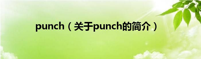 punch（關于punch的簡介）