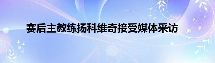 賽后主教練揚(yáng)科維奇接受媒體采訪