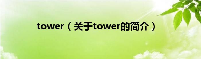 tower（關(guān)于tower的簡介）