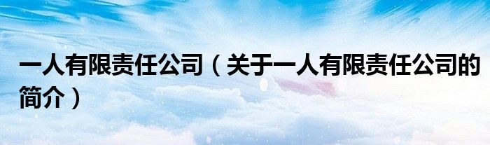 一人有限責任公司（關(guān)于一人有限責任公司的簡介）