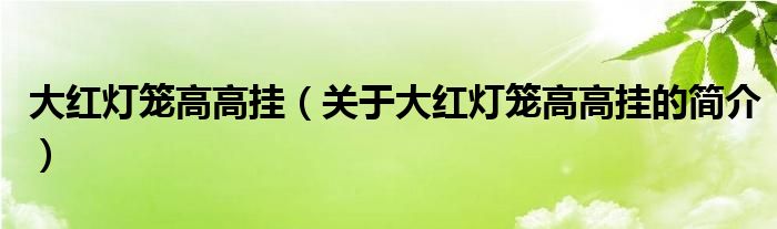 大紅燈籠高高掛（關(guān)于大紅燈籠高高掛的簡(jiǎn)介）