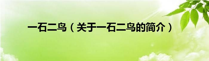 一石二鳥（關(guān)于一石二鳥的簡(jiǎn)介）