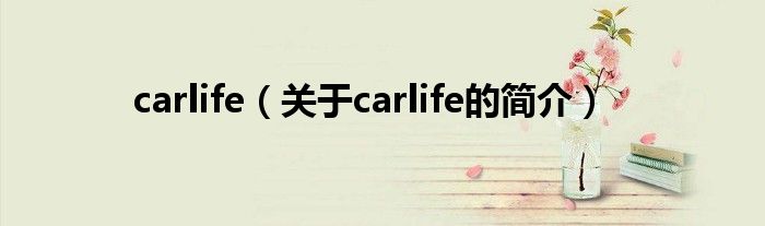 carlife（關(guān)于carlife的簡介）