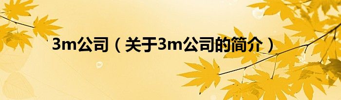 3m公司（關(guān)于3m公司的簡介）