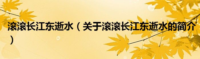 滾滾長(zhǎng)江東逝水（關(guān)于滾滾長(zhǎng)江東逝水的簡(jiǎn)介）