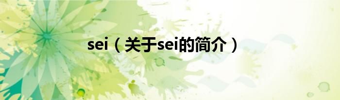 sei（關(guān)于sei的簡介）