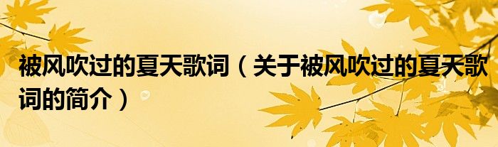 被風(fēng)吹過的夏天歌詞（關(guān)于被風(fēng)吹過的夏天歌詞的簡介）