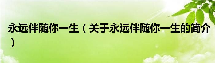 永遠伴隨你一生（關(guān)于永遠伴隨你一生的簡介）