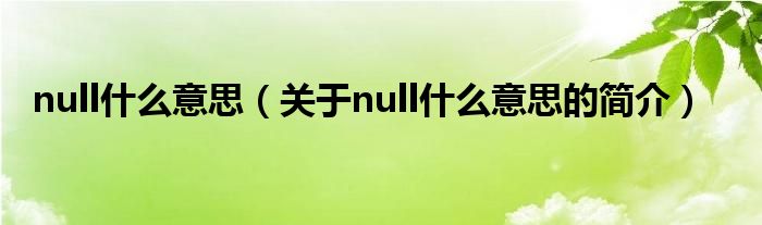 null什么意思（關(guān)于null什么意思的簡介）