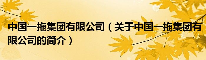 中國一拖集團有限公司（關于中國一拖集團有限公司的簡介）