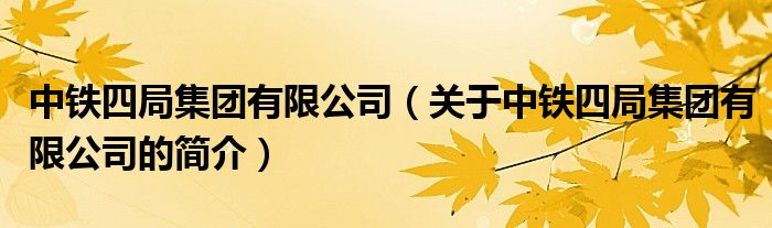 中鐵四局集團有限公司（關(guān)于中鐵四局集團有限公司的簡介）