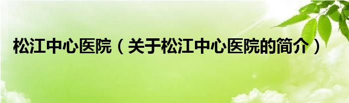 松江中心醫(yī)院（關(guān)于松江中心醫(yī)院的簡介）