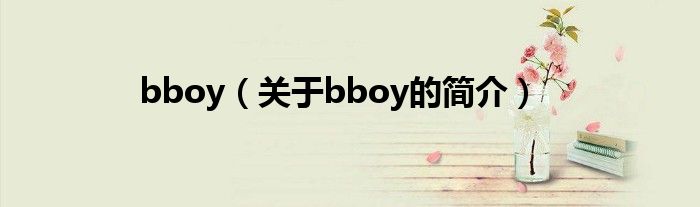 bboy（關(guān)于bboy的簡(jiǎn)介）