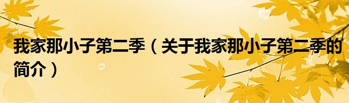 我家那小子第二季（關(guān)于我家那小子第二季的簡(jiǎn)介）