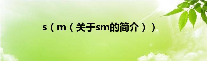 s（m（關(guān)于sm的簡介））