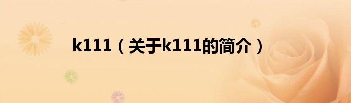 k111（關(guān)于k111的簡(jiǎn)介）