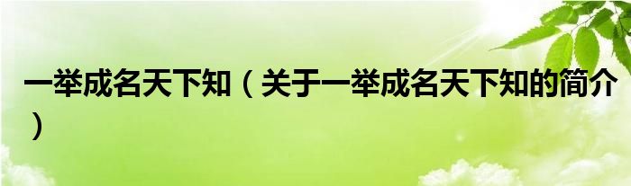 一舉成名天下知（關(guān)于一舉成名天下知的簡(jiǎn)介）