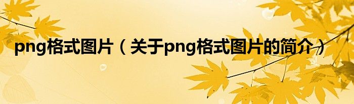 png格式圖片（關于png格式圖片的簡介）