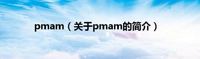 pmam（關(guān)于pmam的簡介）