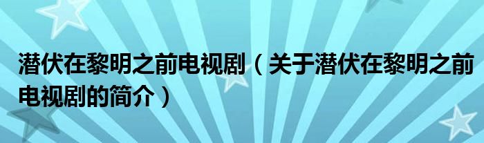 潛伏在黎明之前電視?。P(guān)于潛伏在黎明之前電視劇的簡(jiǎn)介）