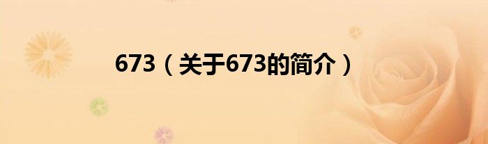 673（關(guān)于673的簡(jiǎn)介）