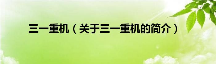 三一重機(jī)（關(guān)于三一重機(jī)的簡(jiǎn)介）