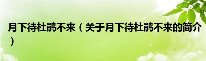 月下待杜鵑不來（關于月下待杜鵑不來的簡介）