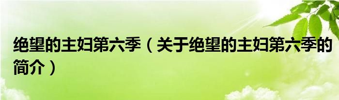 絕望的主婦第六季（關(guān)于絕望的主婦第六季的簡介）