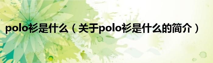 polo衫是什么（關(guān)于polo衫是什么的簡介）