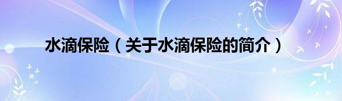 水滴保險（關(guān)于水滴保險的簡介）