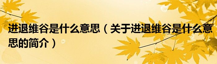 進(jìn)退維谷是什么意思（關(guān)于進(jìn)退維谷是什么意思的簡(jiǎn)介）