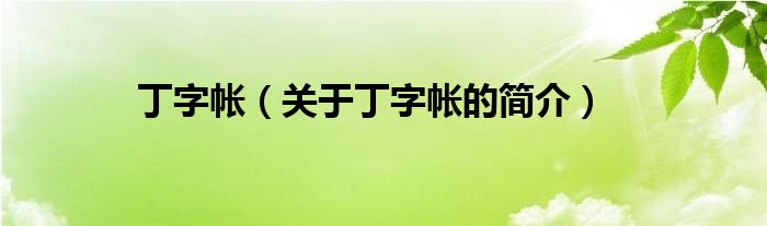 丁字帳（關于丁字帳的簡介）