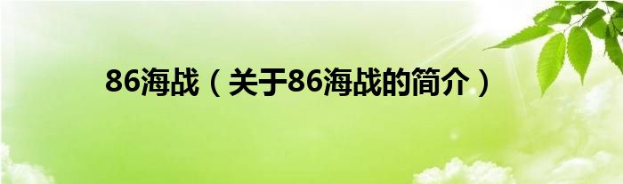 86海戰(zhàn)（關(guān)于86海戰(zhàn)的簡介）