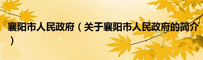 襄陽市人民政府（關于襄陽市人民政府的簡介）