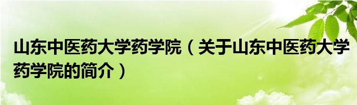 山東中醫(yī)藥大學藥學院（關(guān)于山東中醫(yī)藥大學藥學院的簡介）