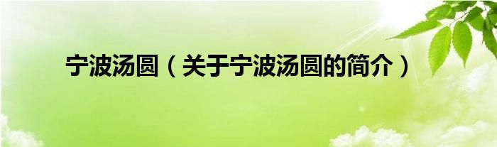 寧波湯圓（關(guān)于寧波湯圓的簡(jiǎn)介）