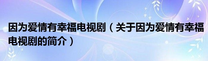 因為愛情有幸福電視?。P于因為愛情有幸福電視劇的簡介）