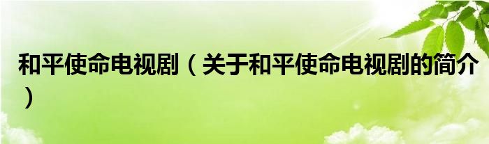 和平使命電視?。P(guān)于和平使命電視劇的簡(jiǎn)介）