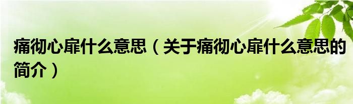 痛徹心扉什么意思（關(guān)于痛徹心扉什么意思的簡介）