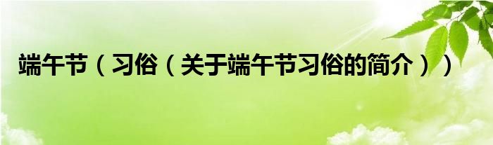 端午節(jié)（習(xí)俗（關(guān)于端午節(jié)習(xí)俗的簡(jiǎn)介））