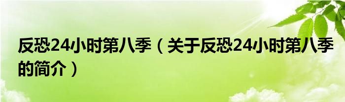 反恐24小時(shí)第八季（關(guān)于反恐24小時(shí)第八季的簡介）