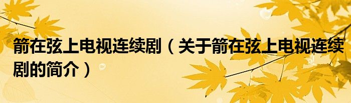 箭在弦上電視連續(xù)?。P(guān)于箭在弦上電視連續(xù)劇的簡介）