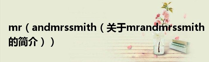 mr（andmrssmith（關(guān)于mrandmrssmith的簡介））