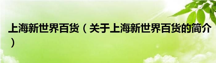 上海新世界百貨（關(guān)于上海新世界百貨的簡(jiǎn)介）