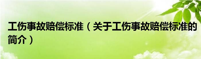 工傷事故賠償標(biāo)準(zhǔn)（關(guān)于工傷事故賠償標(biāo)準(zhǔn)的簡(jiǎn)介）