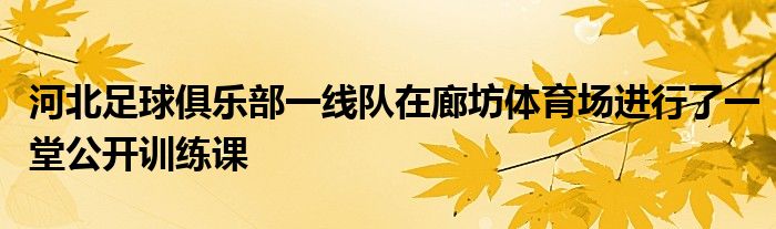 河北足球俱樂部一線隊在廊坊體育場進行了一堂公開訓練課