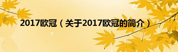 2017歐冠（關(guān)于2017歐冠的簡介）