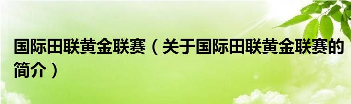 國際田聯(lián)黃金聯(lián)賽（關(guān)于國際田聯(lián)黃金聯(lián)賽的簡介）